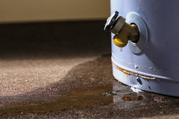Best Flooded house restoration  in Kealakekua, HI