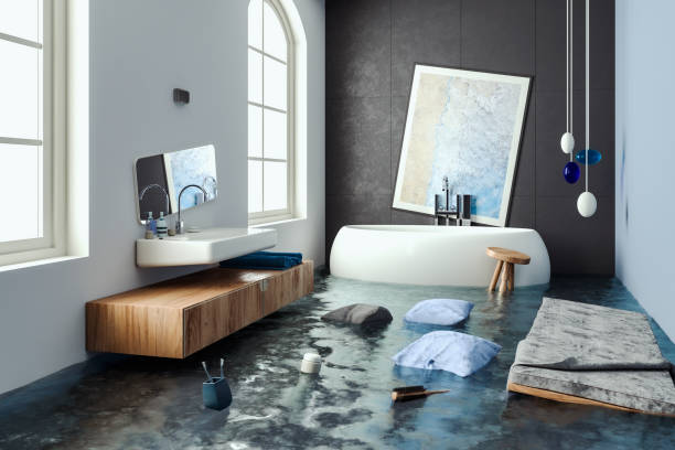 Best Mold removal after water damage  in Kealakekua, HI