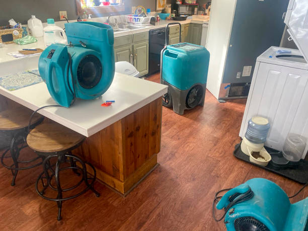 Best Commercial water damage restoration  in Kealakekua, HI
