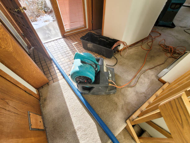 Best Local water damage restoration  in Kealakekua, HI