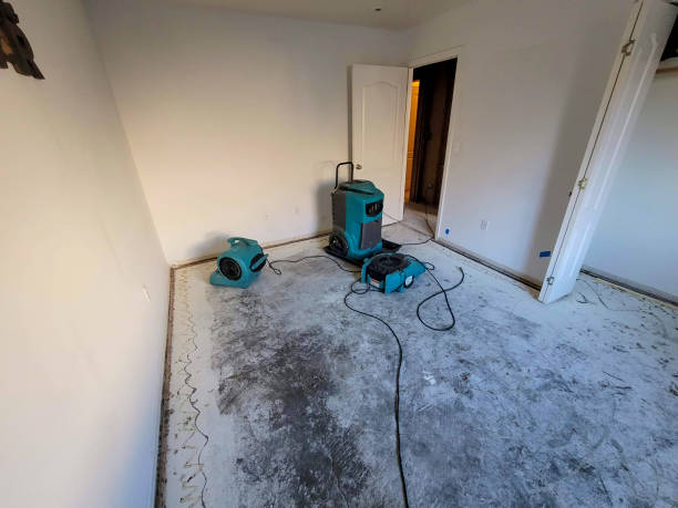 Kealakekua, HI Water damage restoration Company