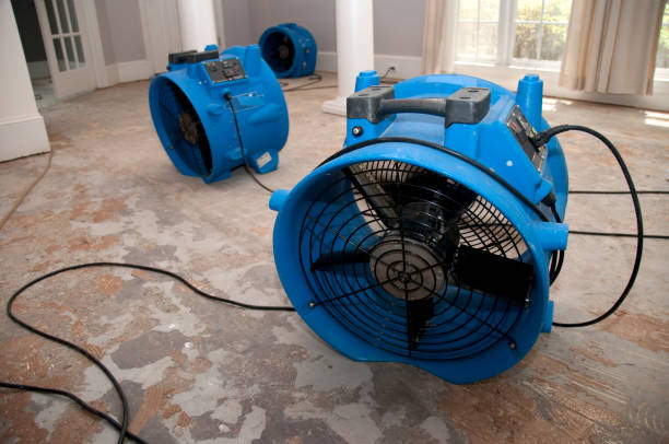 Best Carpet water damage restoration  in Kealakekua, HI