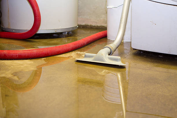 Best Water damage restoration experts  in Kealakekua, HI