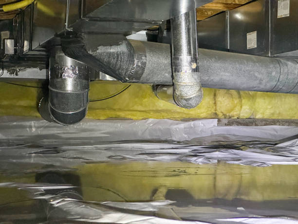 Best Water damage cleanup near me  in Kealakekua, HI