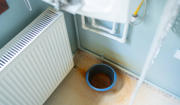Best Water damage restoration near me  in Kealakekua, HI
