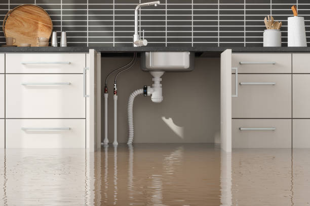Best Water damage restoration near me  in Kealakekua, HI