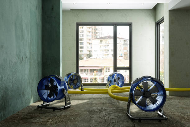 Best Commercial water damage restoration  in Kealakekua, HI