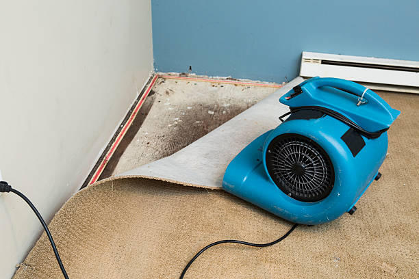 Best Flood restoration services  in Kealakekua, HI